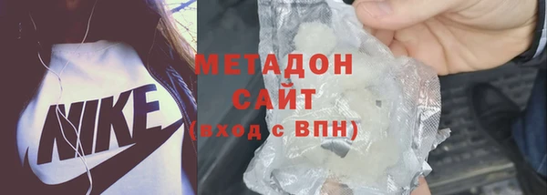 прущие грибы Алзамай