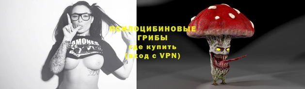 индика Алексеевка