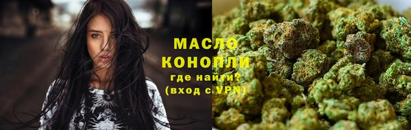 прущие грибы Алзамай