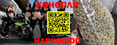 apvp Моздок