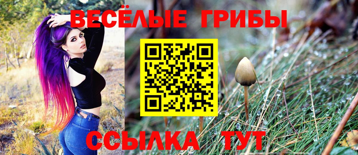 Галлюциногенные грибы Psilocybe  купить  сайты  Псилоцибиновые грибы MAGIC MUSHROOMS  Курск  Вход с VPN 