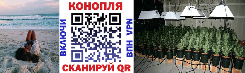 МАРИХУАНА OG Kush Курск